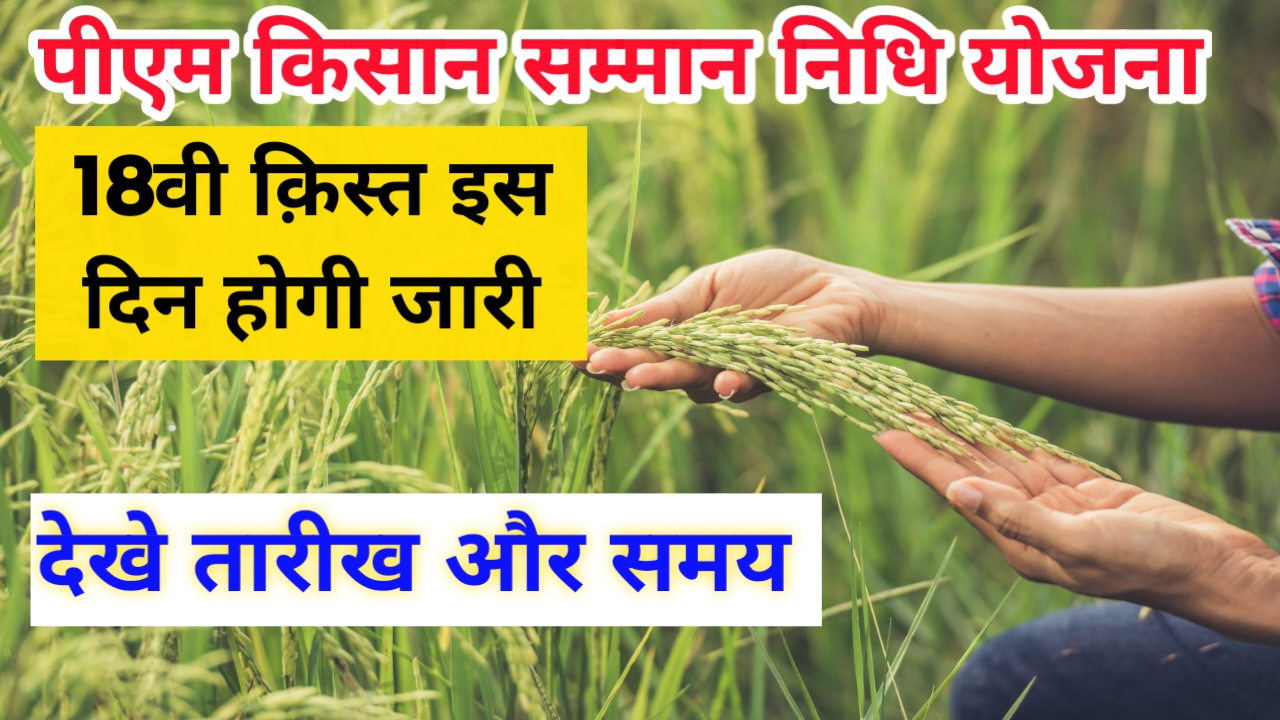 pm kisan पीएम किसान सम्मान निधि योजना